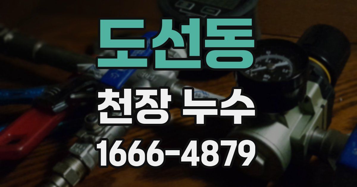 도선동 천장 누수