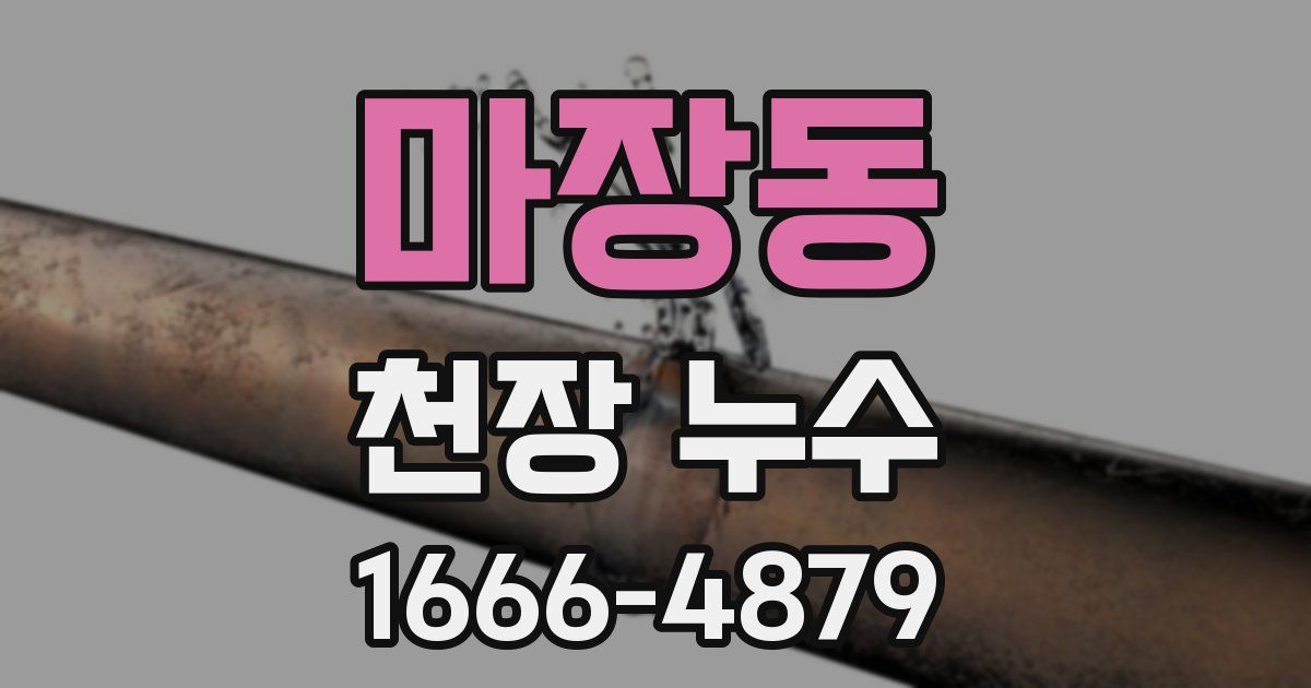 마장동 천장 누수