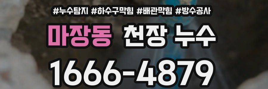 마장동 천장 누수