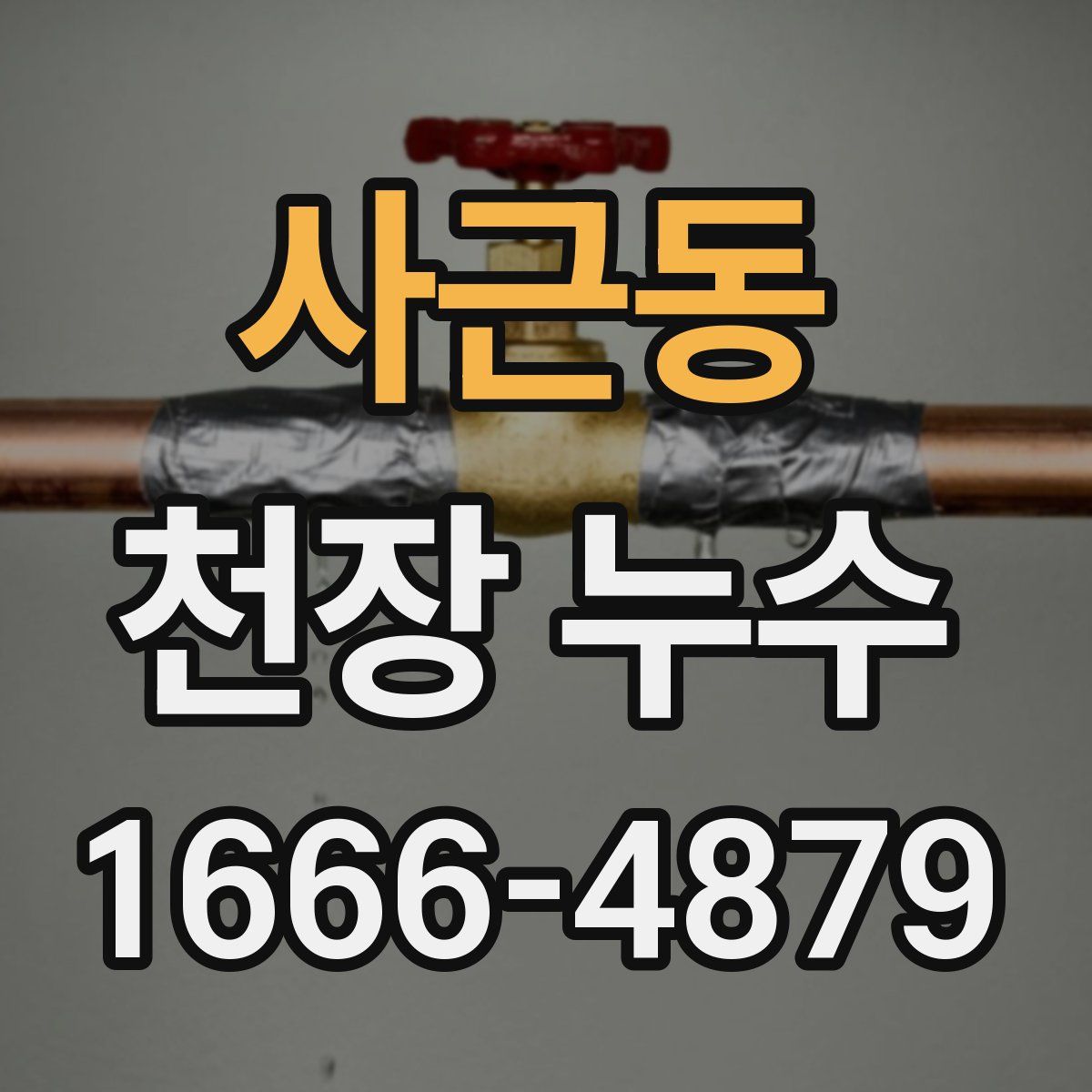 사근동 천장 누수