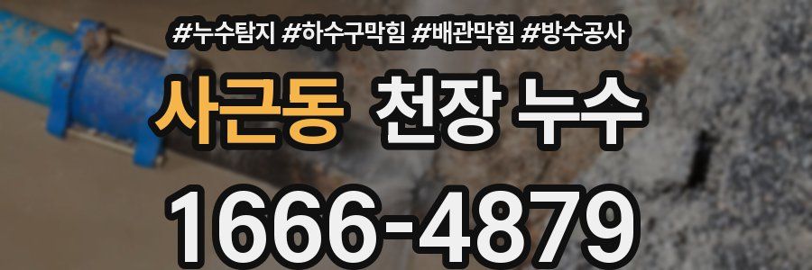 사근동 천장 누수