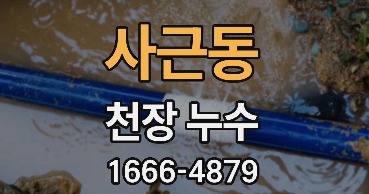 사근동 천장 누수