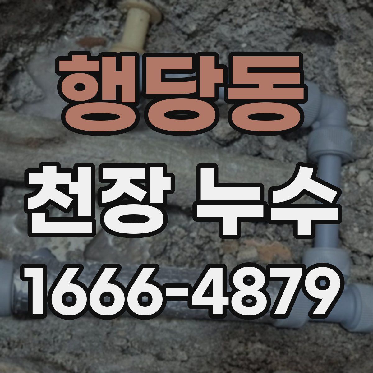 행당동 천장 누수