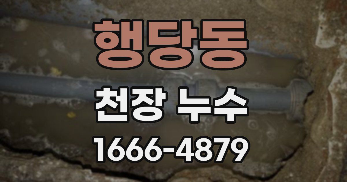행당동 천장 누수