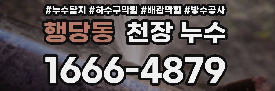 행당동 천장 누수