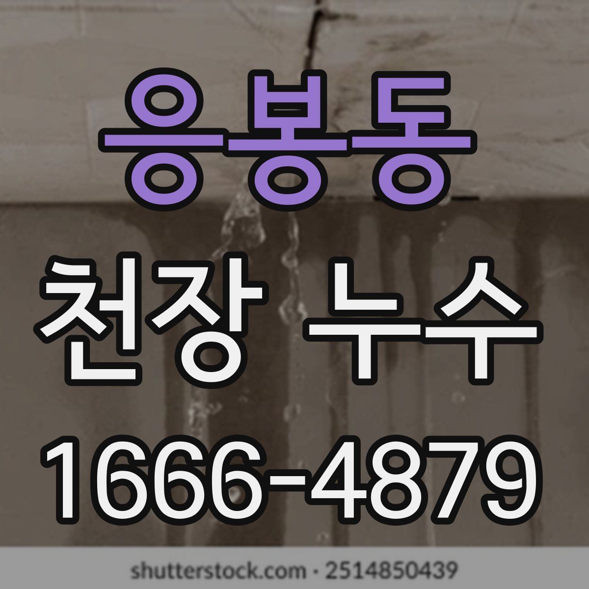 응봉동 천장 누수