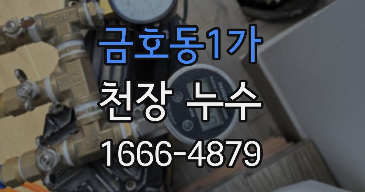 금호동1가 천장 누수