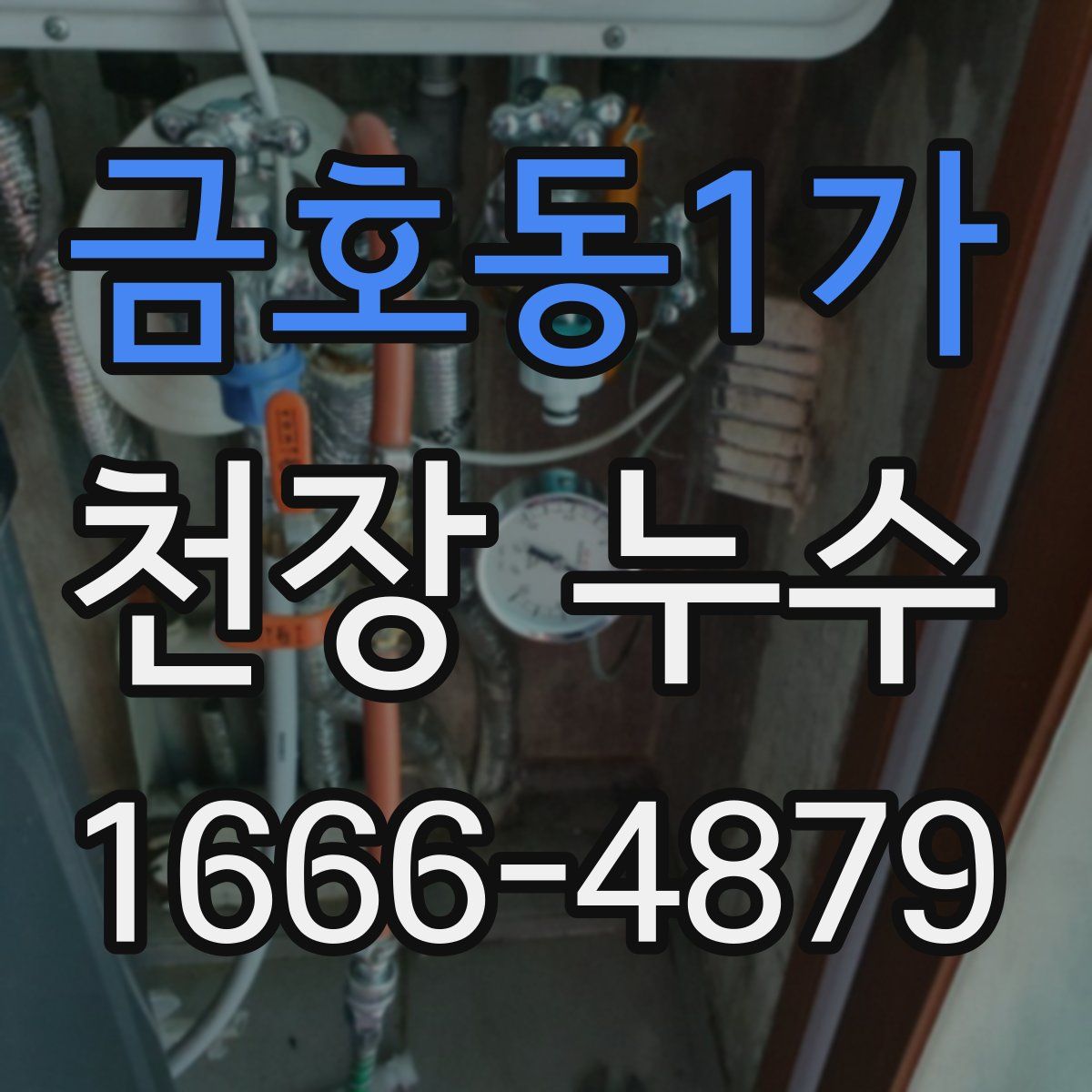 금호동1가 천장 누수