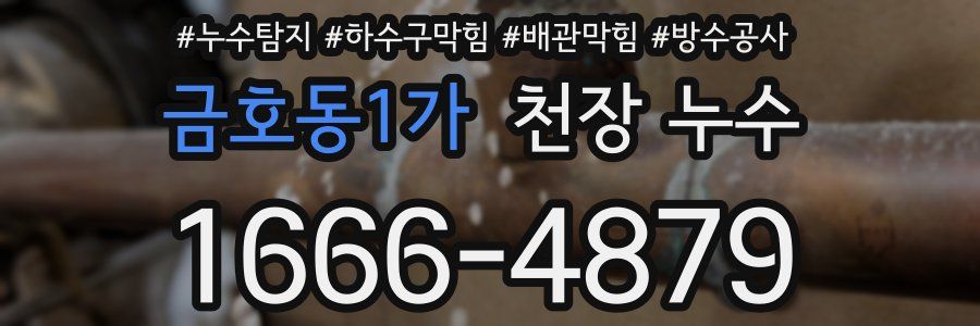 금호동1가 천장 누수