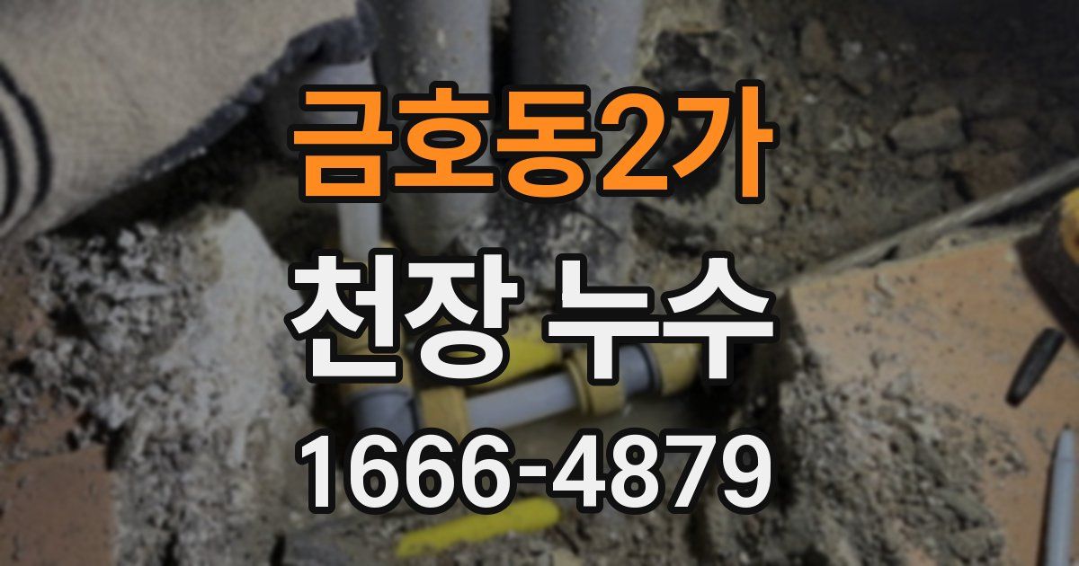 금호동2가 천장 누수