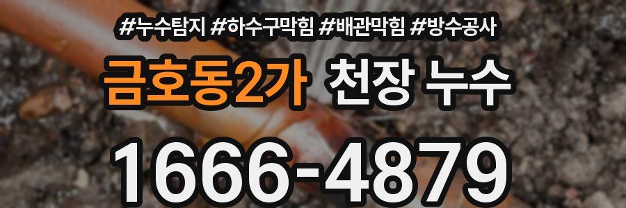 금호동2가 천장 누수