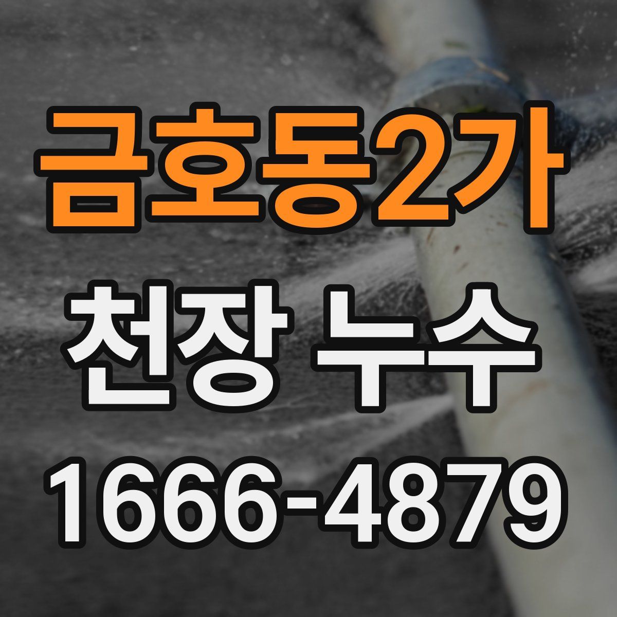 금호동2가 천장 누수