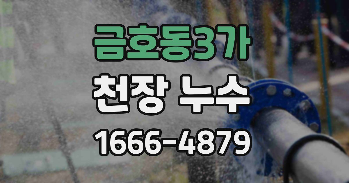 금호동3가 천장 누수