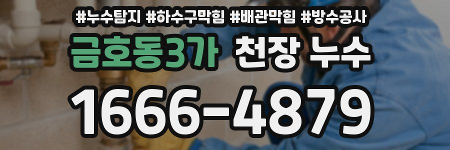 금호동3가 천장 누수
