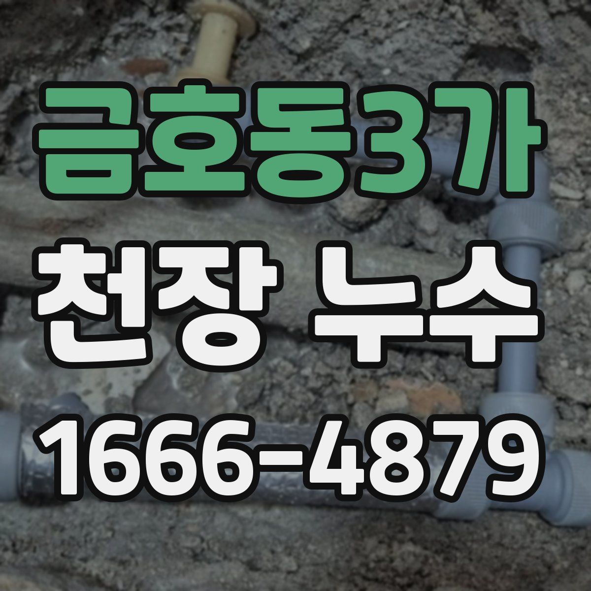 금호동3가 천장 누수
