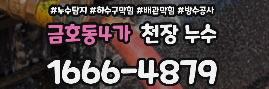 금호동4가 천장 누수