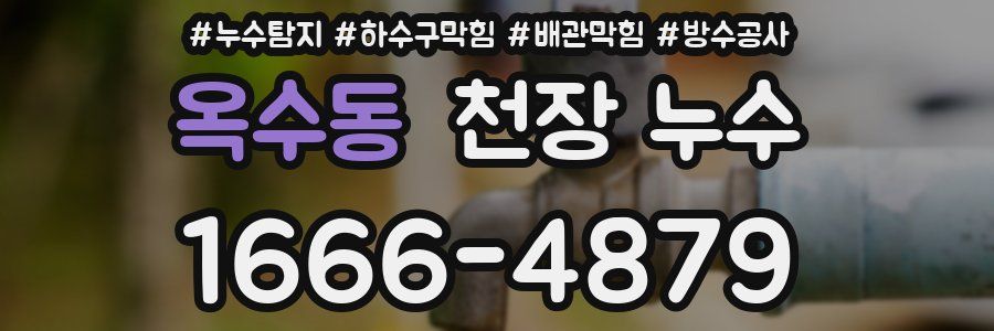 옥수동 천장 누수