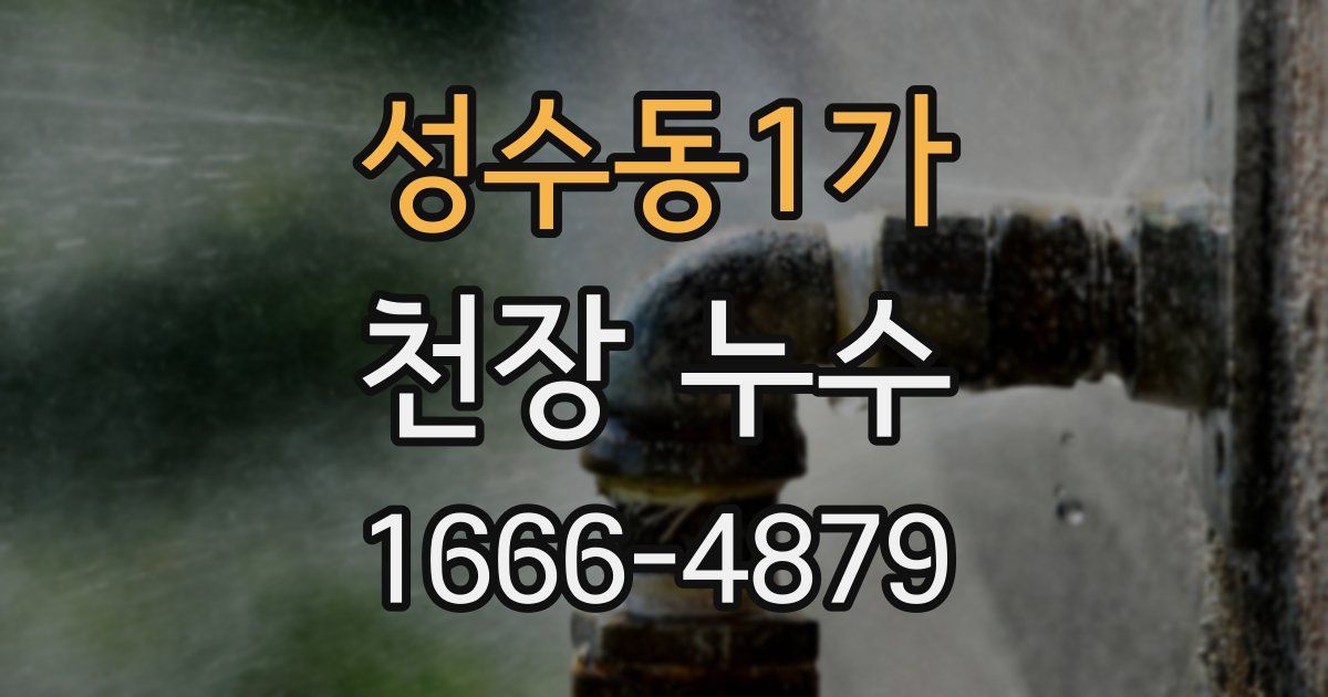 성수동1가 천장 누수