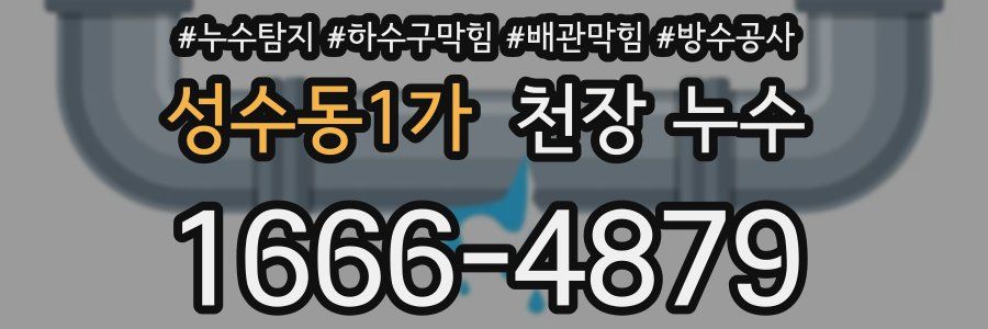 성수동1가 천장 누수
