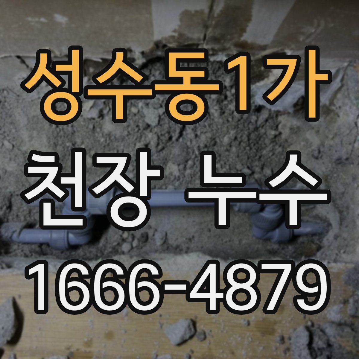 성수동1가 천장 누수