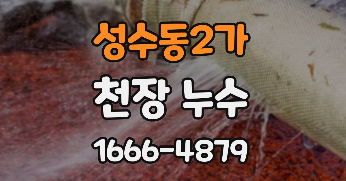 성수동2가 천장 누수