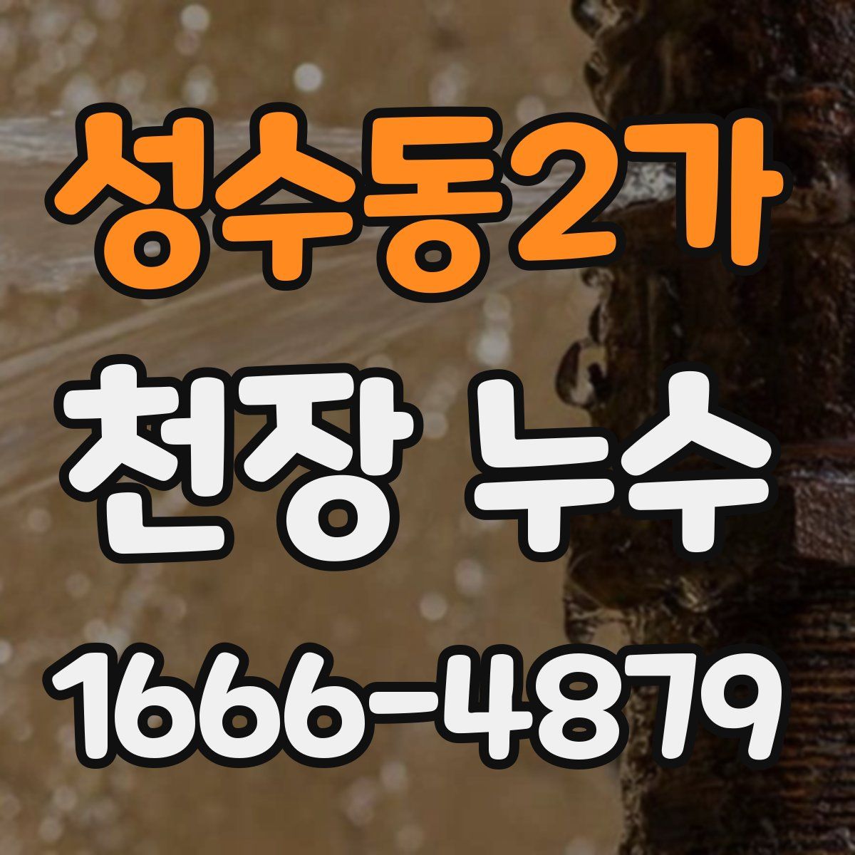 성수동2가 천장 누수