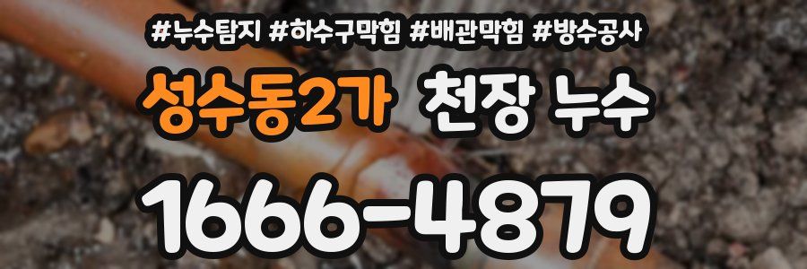 성수동2가 천장 누수
