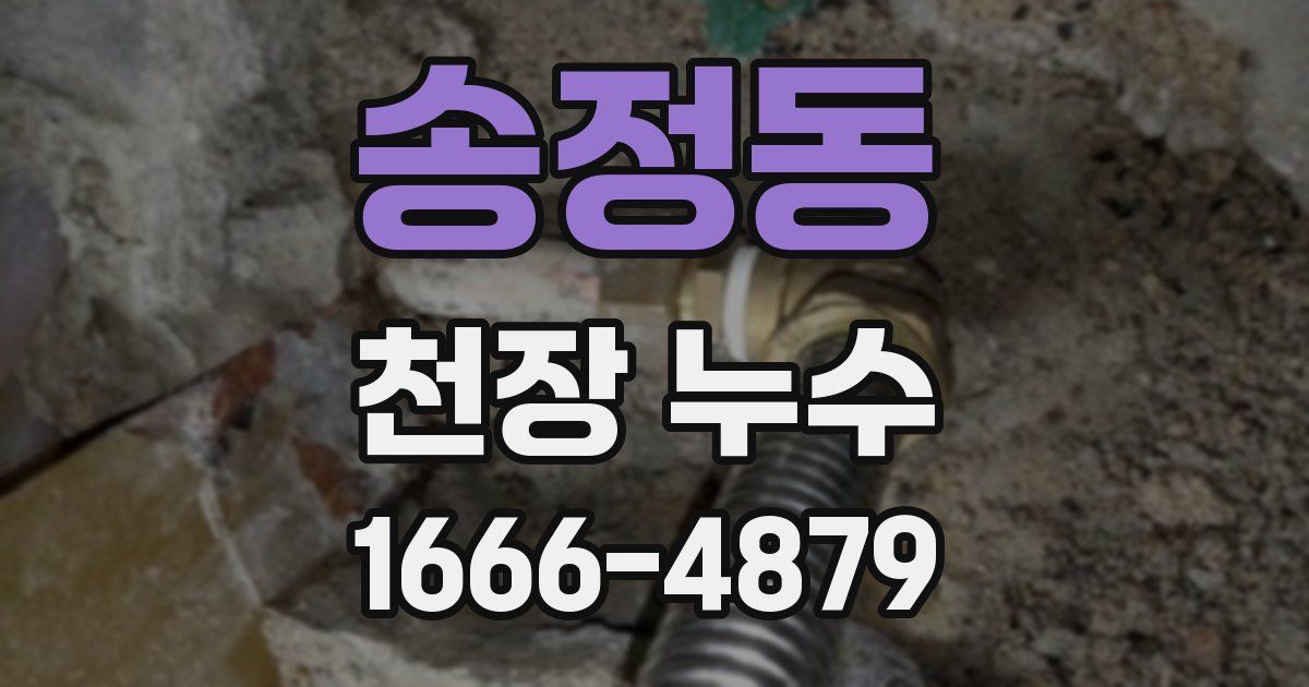 송정동 천장 누수