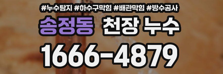 송정동 천장 누수