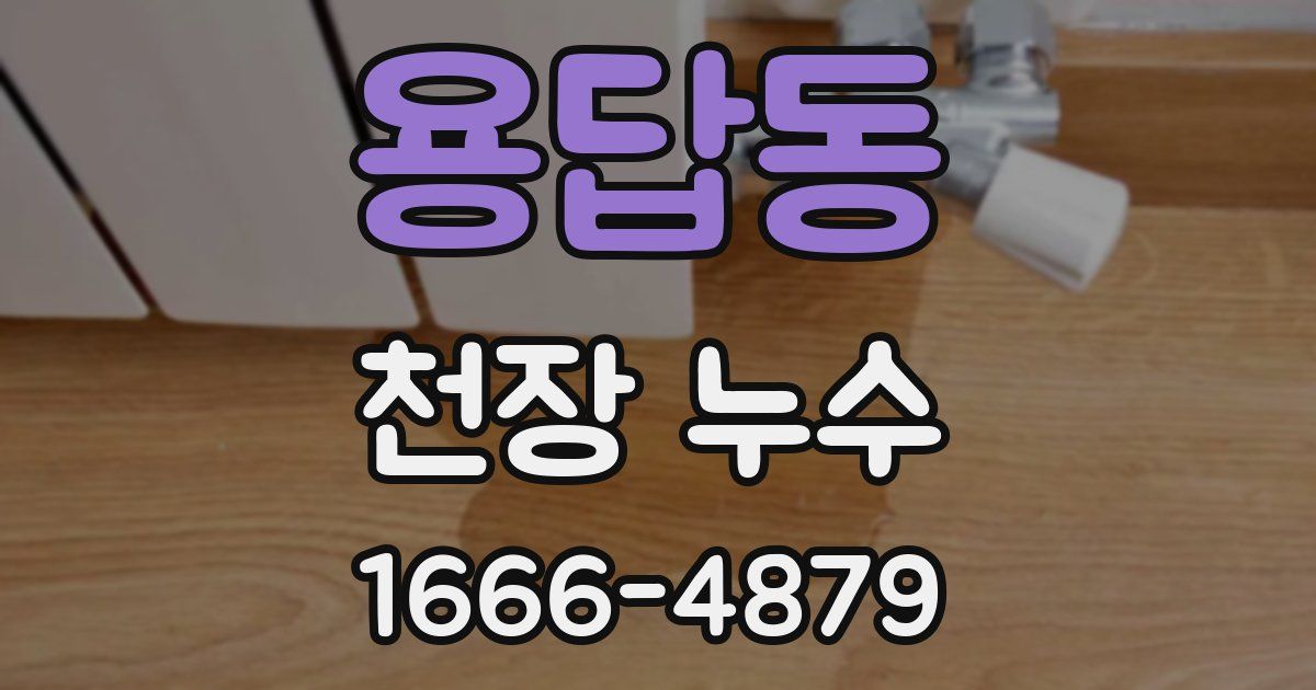 용답동 천장 누수