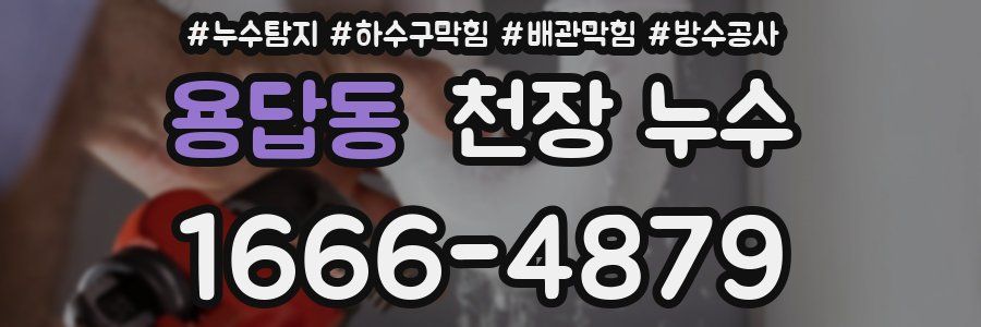용답동 천장 누수
