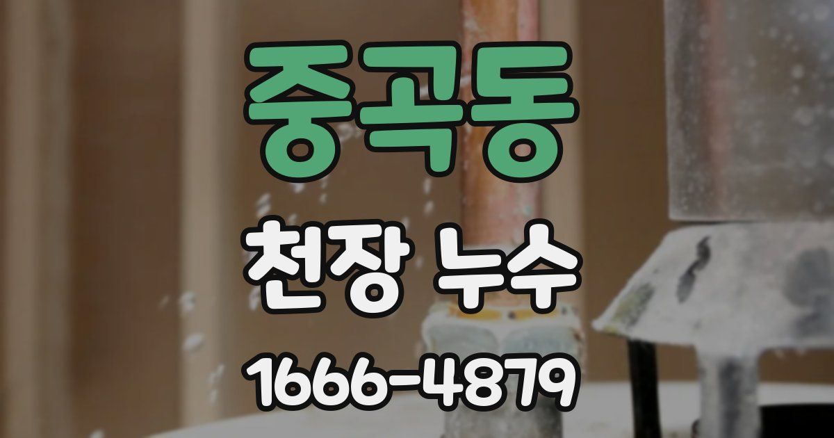 중곡동 천장 누수