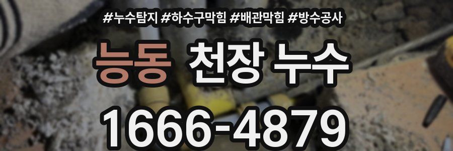 능동 천장 누수