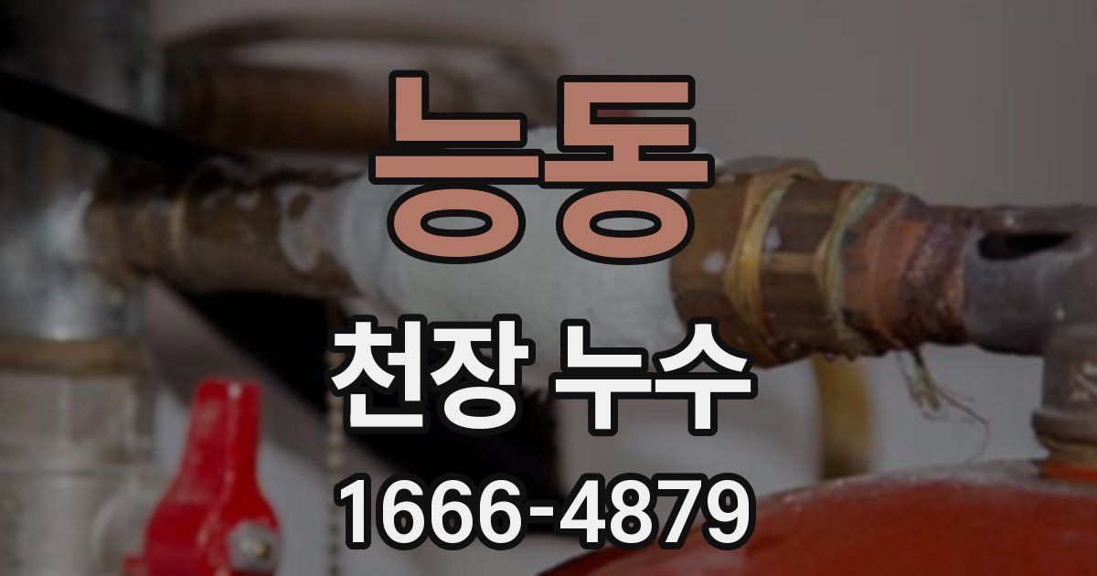 능동 천장 누수