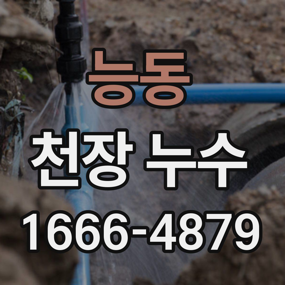 능동 천장 누수