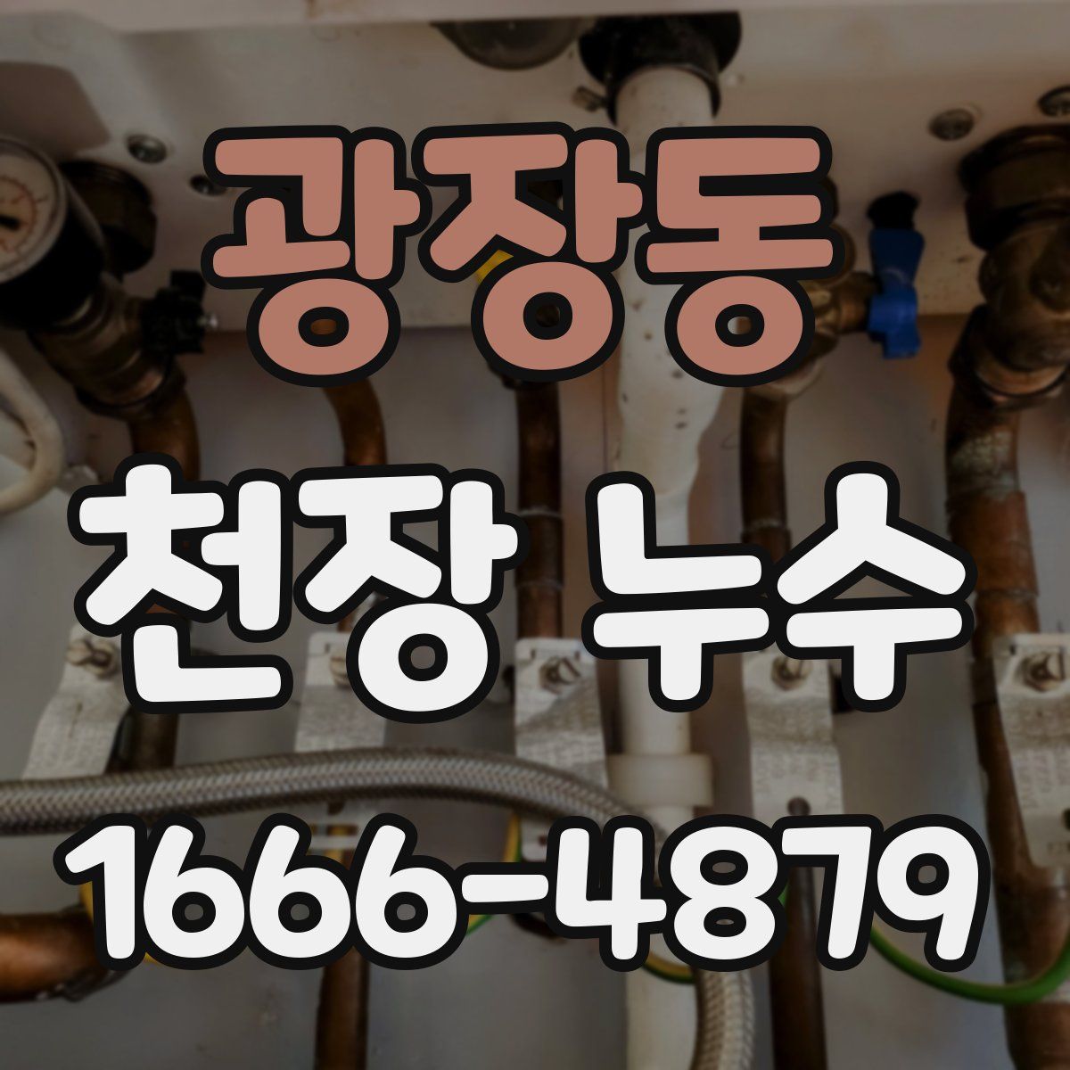 광장동 천장 누수