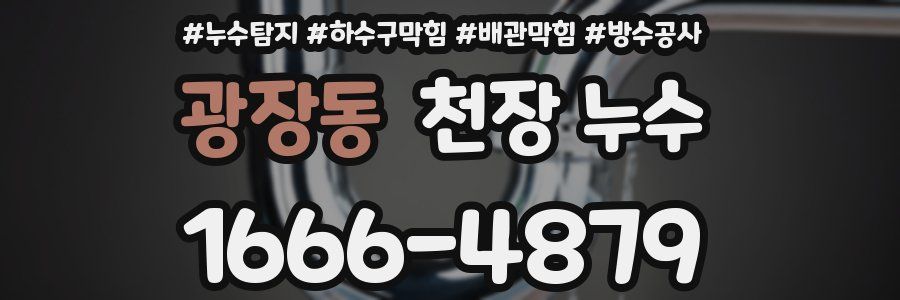 광장동 천장 누수