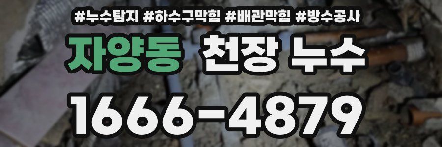 자양동 천장 누수
