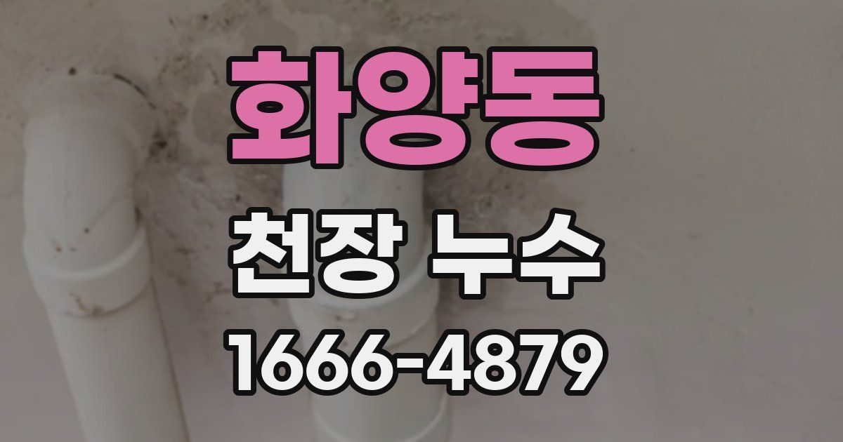 화양동 천장 누수