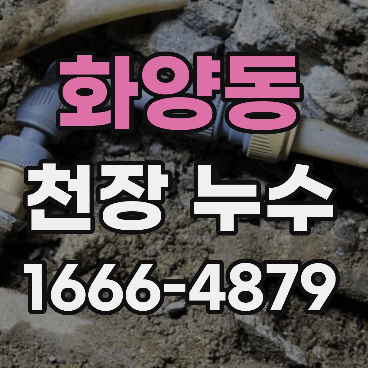 화양동 천장 누수