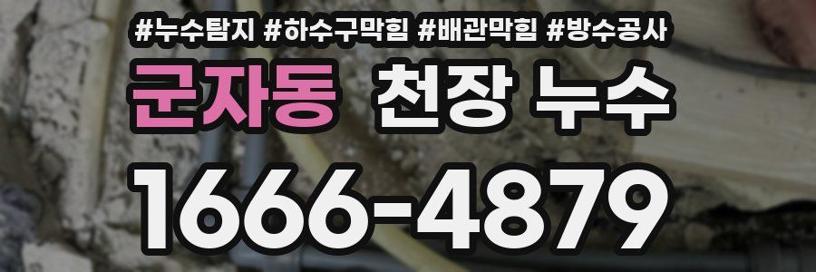 군자동 천장 누수