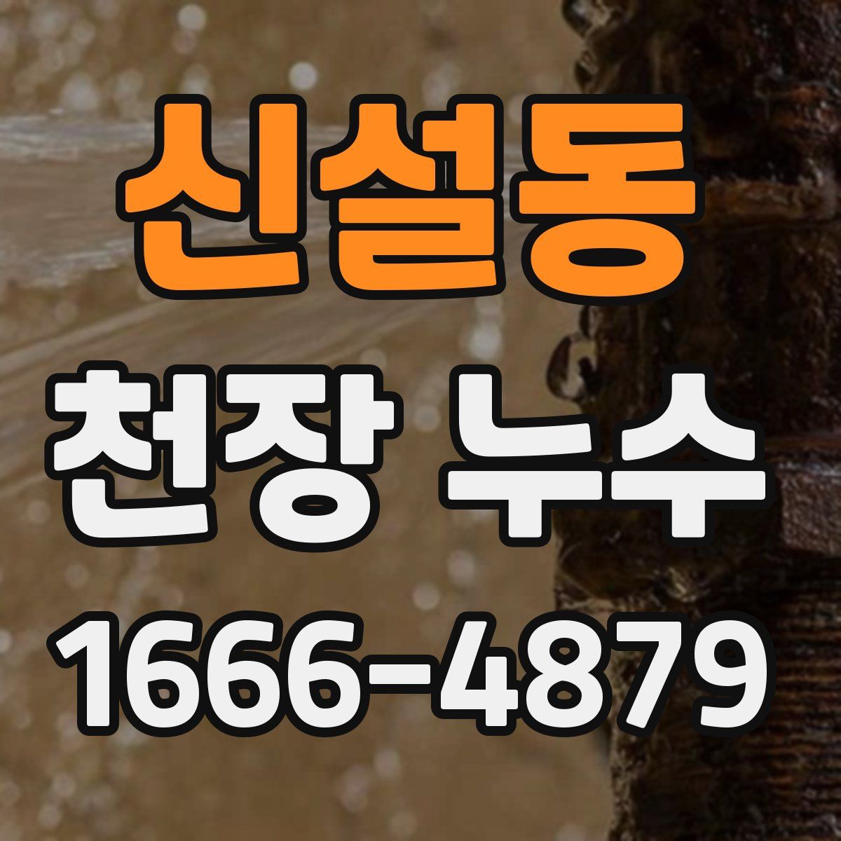 신설동 천장 누수