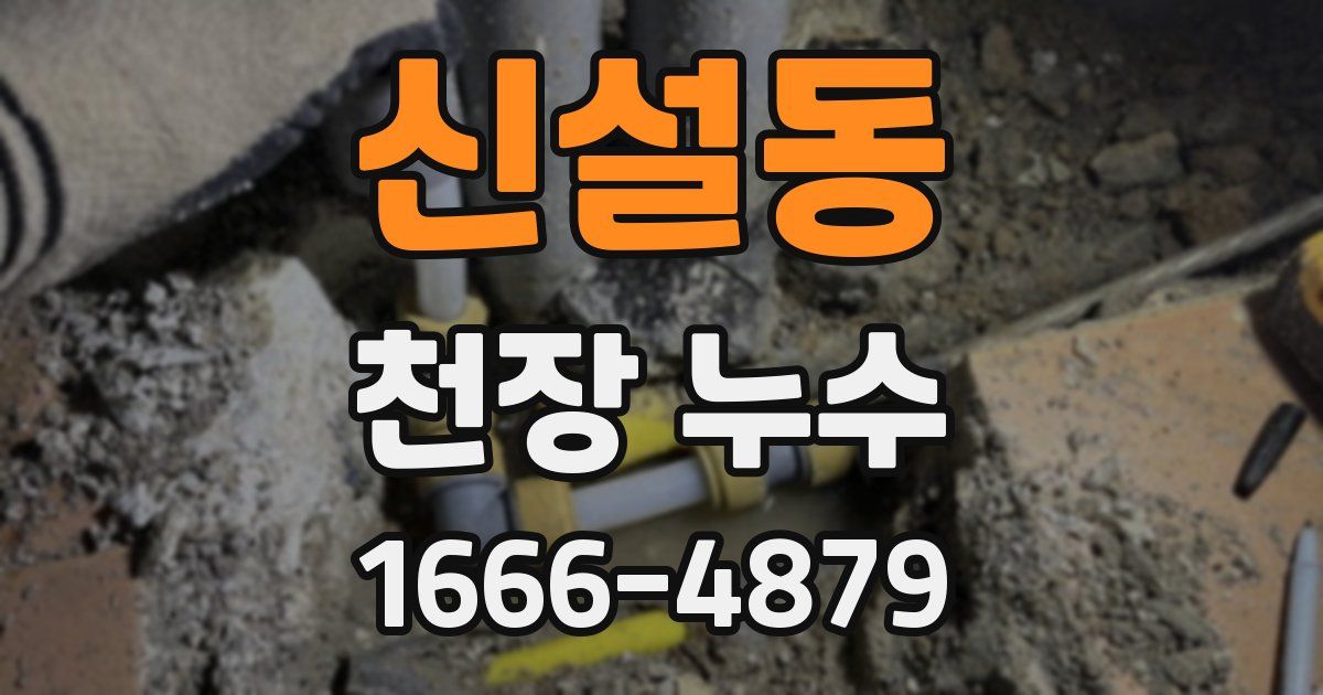 신설동 천장 누수