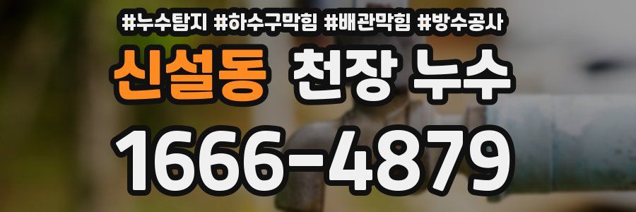 신설동 천장 누수