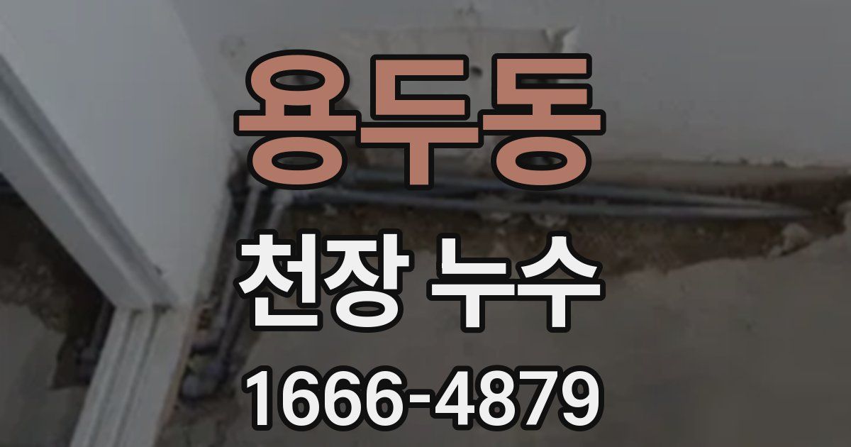용두동 천장 누수