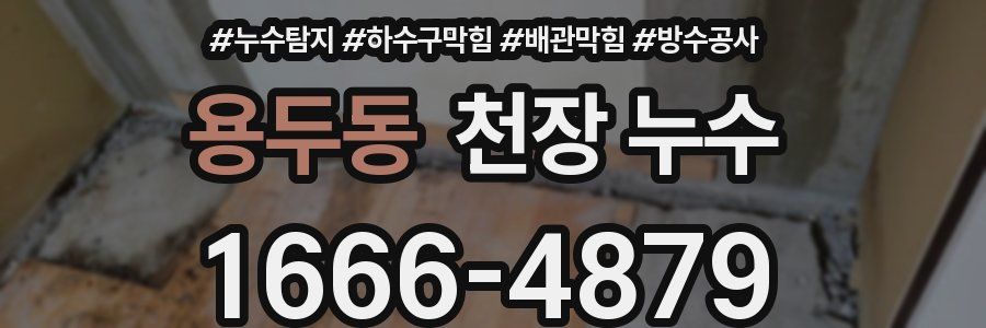 용두동 천장 누수