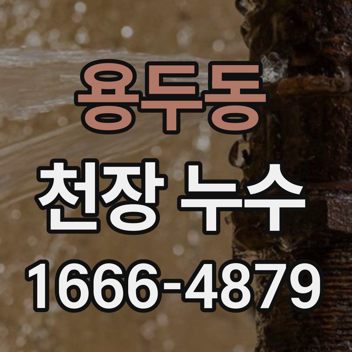용두동 천장 누수
