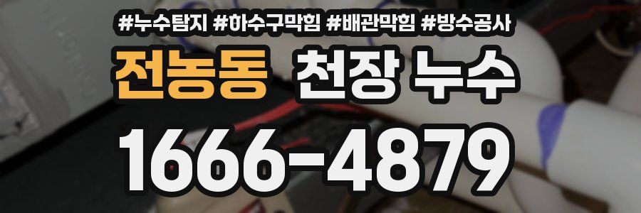 전농동 천장 누수