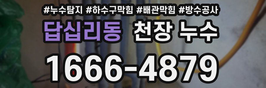 답십리동 천장 누수