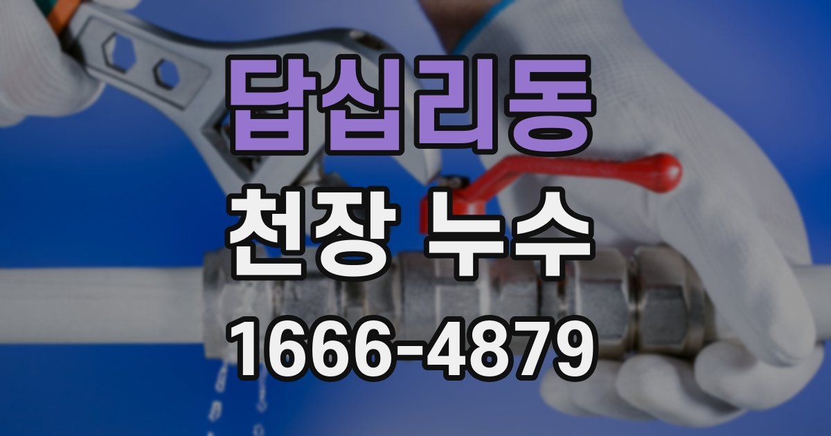 답십리동 천장 누수